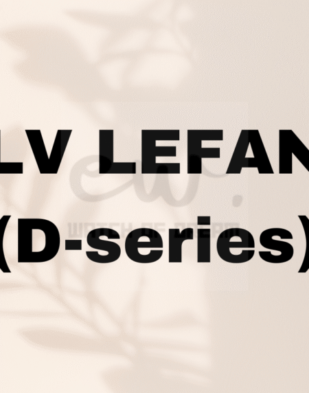 LV LEFAN (D-series)